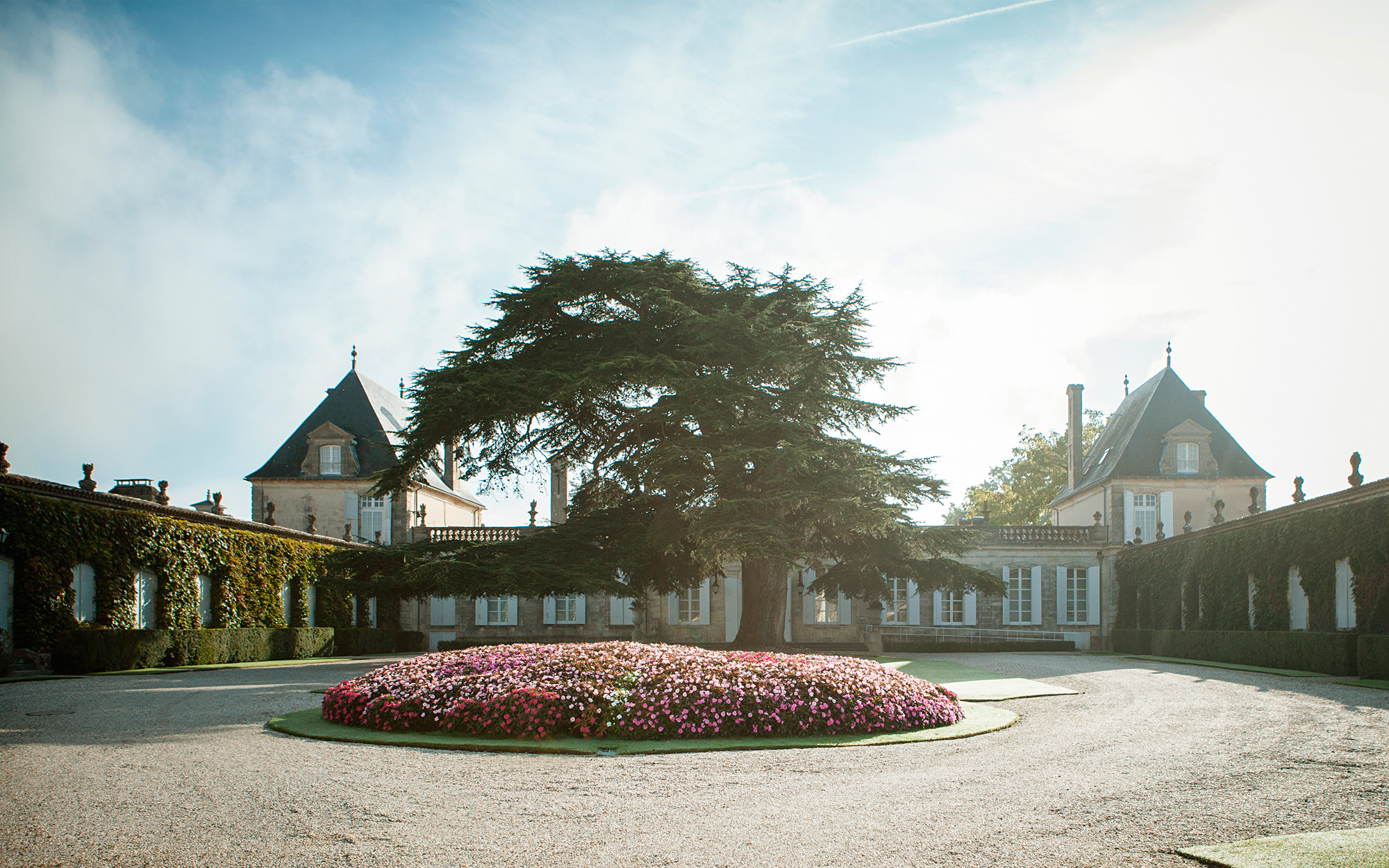 DOMAINES HENRI MARTIN Saint Julien Beychevelle - Pépiniériste (adresse)